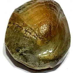 Natural Machh Mani Machmani Stone Certified