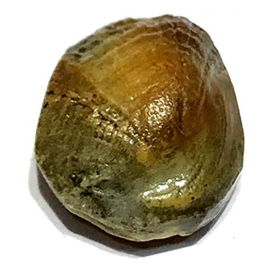 Machh Mani, machmani Stone, machhmanni, मकरधवज रत्न,मछ मणि  Orignal machmani Stone
