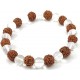 5 Mukhi Rudraksha Crystal Bracelet for Men, Women and Children (White, Brown) 8mm Beads Size 