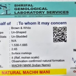Machh Mani Silver Pendant Certified Machh Mani Silver Pendant Certified