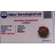 4 faced Rudraksha (Brown) with Certificate 