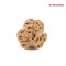 3 Mukhi Rudraksha – Certified Original Bead