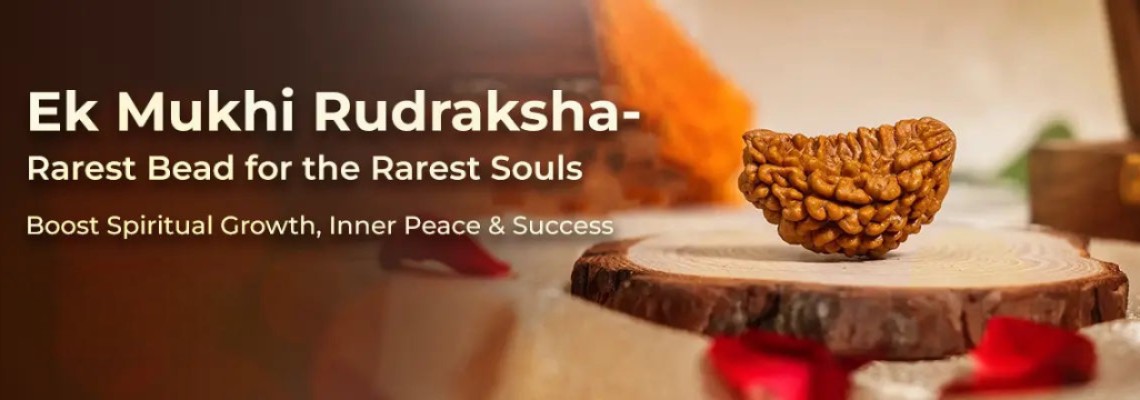 1 Mukhi Rudraksha Benefits and Spiritual Significance of the Rare Bead 1 Mukhi Rudraksha Benefits and Spiritual Significance of the Rare Bead